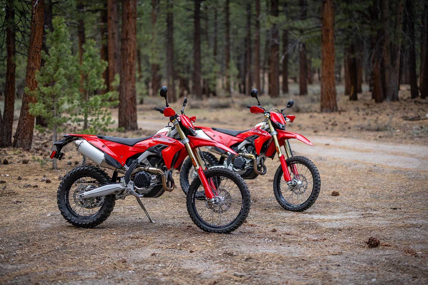 2027 Ducati Desmo450 EDS First look | Cycle World