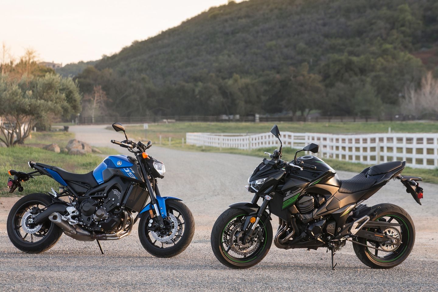 Kawasaki Z800 vs. Yamaha FZ 09 COMPARISON TEST Review Cycle World