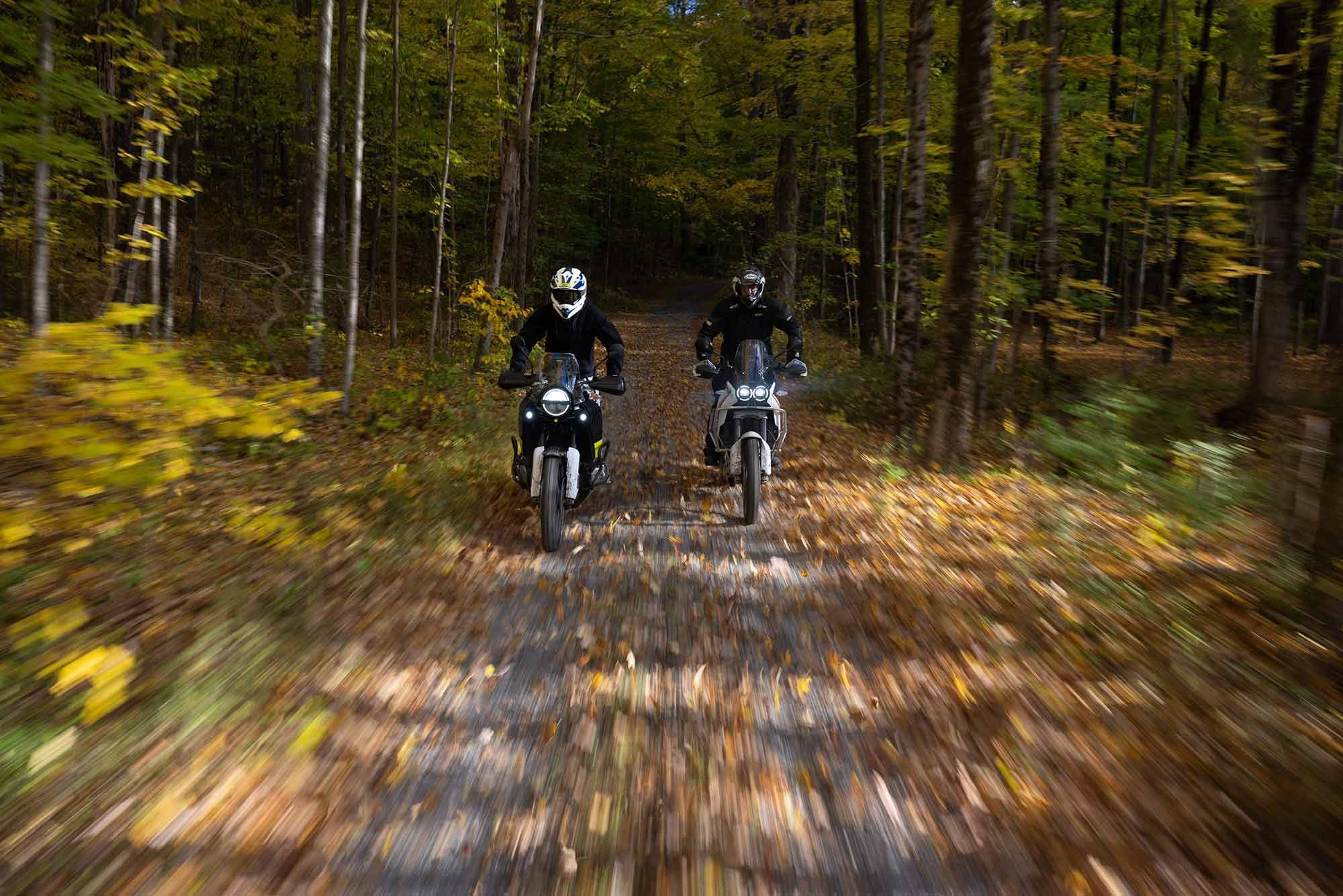 The Norden’s more compact ergonomics puts the rider in the attack position while the DesertX’s big ’n’ tall ergos are more relaxed.