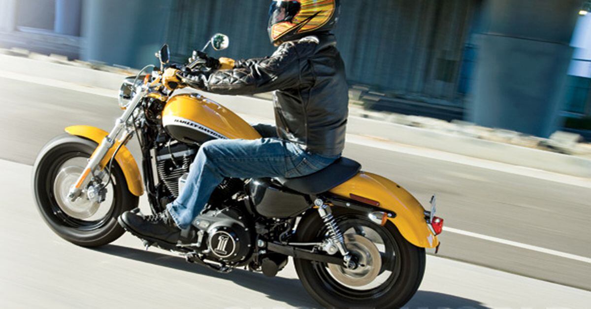 harley 1200 custom