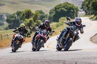 Mt 10 vs 1290 online super duke