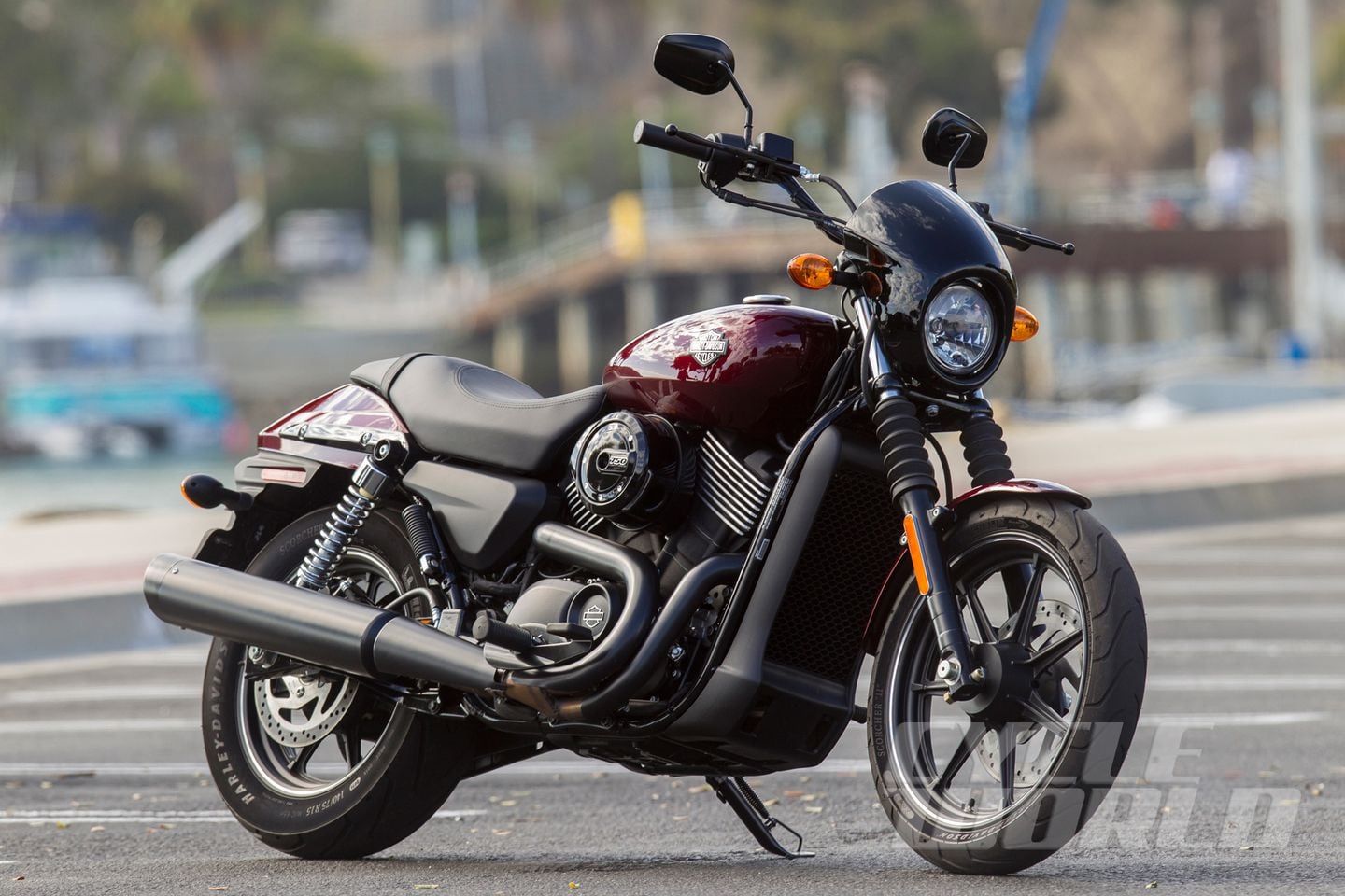 Harley Davidson Street 750 Vs Yamaha Star Bolt Comparison Test Review Cycle World