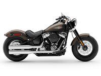 Harley slim 2025