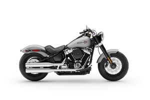 Softail harley davidson 2020 hotsell