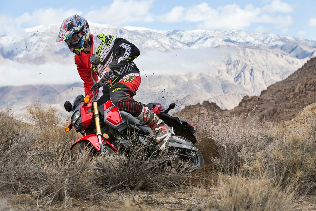 Honda grom adventure 2025