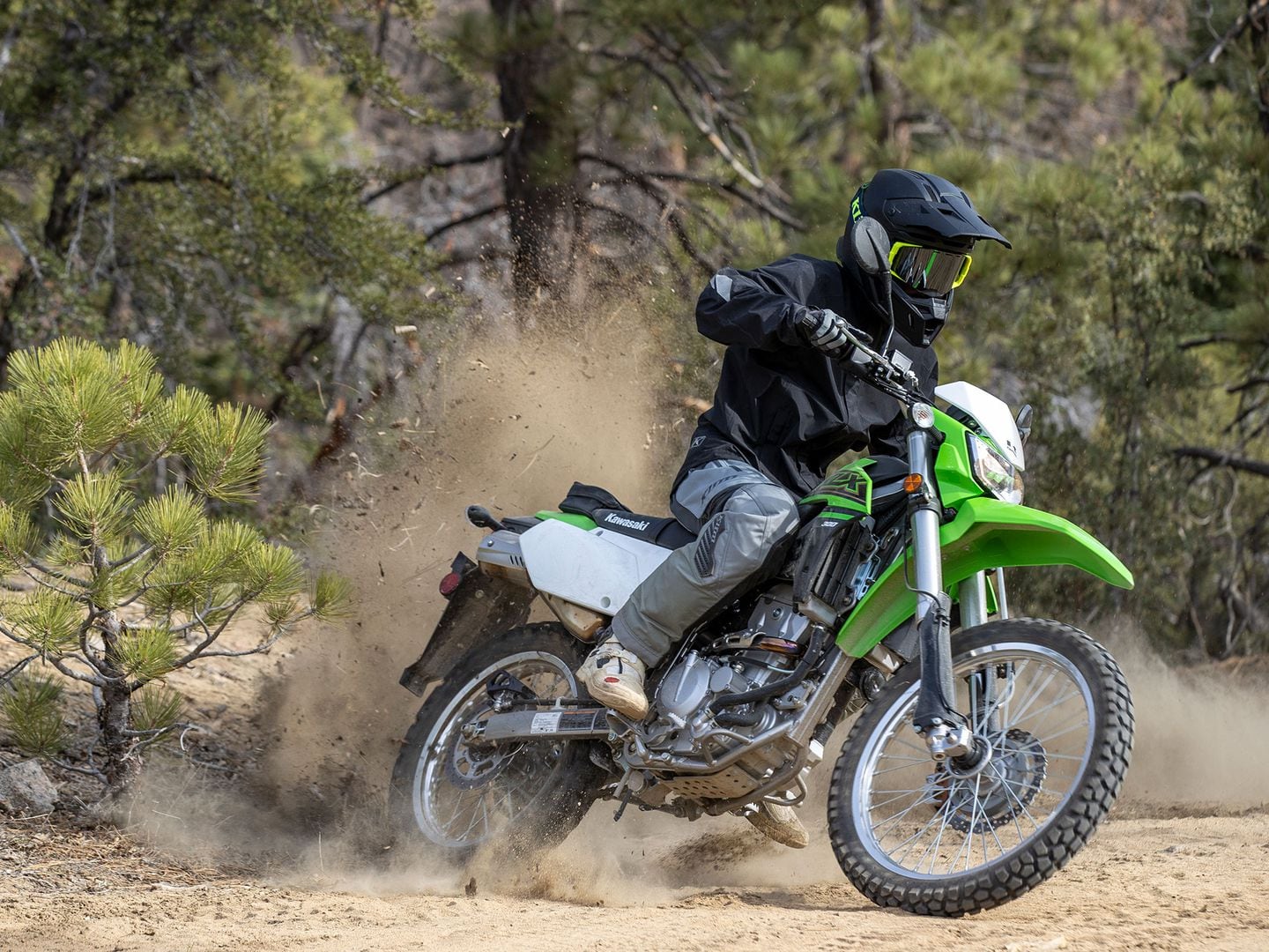 top 10 learner legal bikes