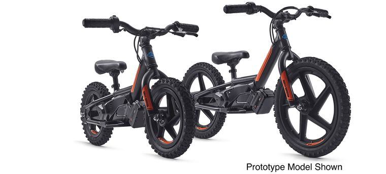 harley strider bike