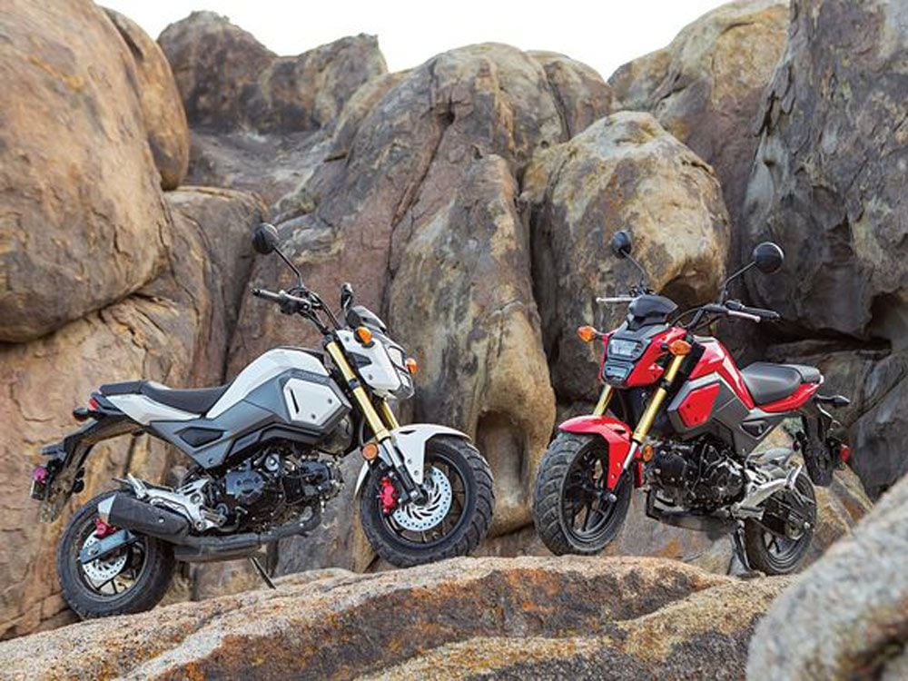 Little bike, big fun - perfectly sums up the Honda Grom.