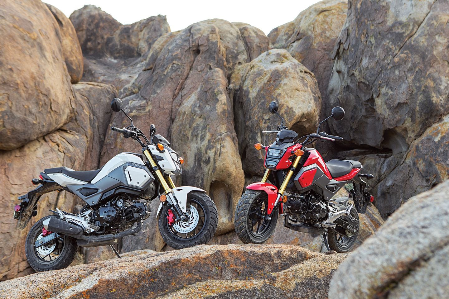 Honda Grom Off Road Adventure Motorcycle Fun Trip Cycle World