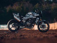 11+ 2023 Ninja 650 Weight