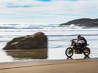 Triumph scrambler baja 1000 online
