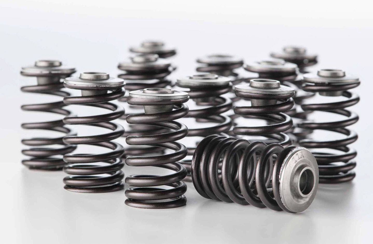 Valve springs from a Ducati Multistrada V4. Sacrilege?