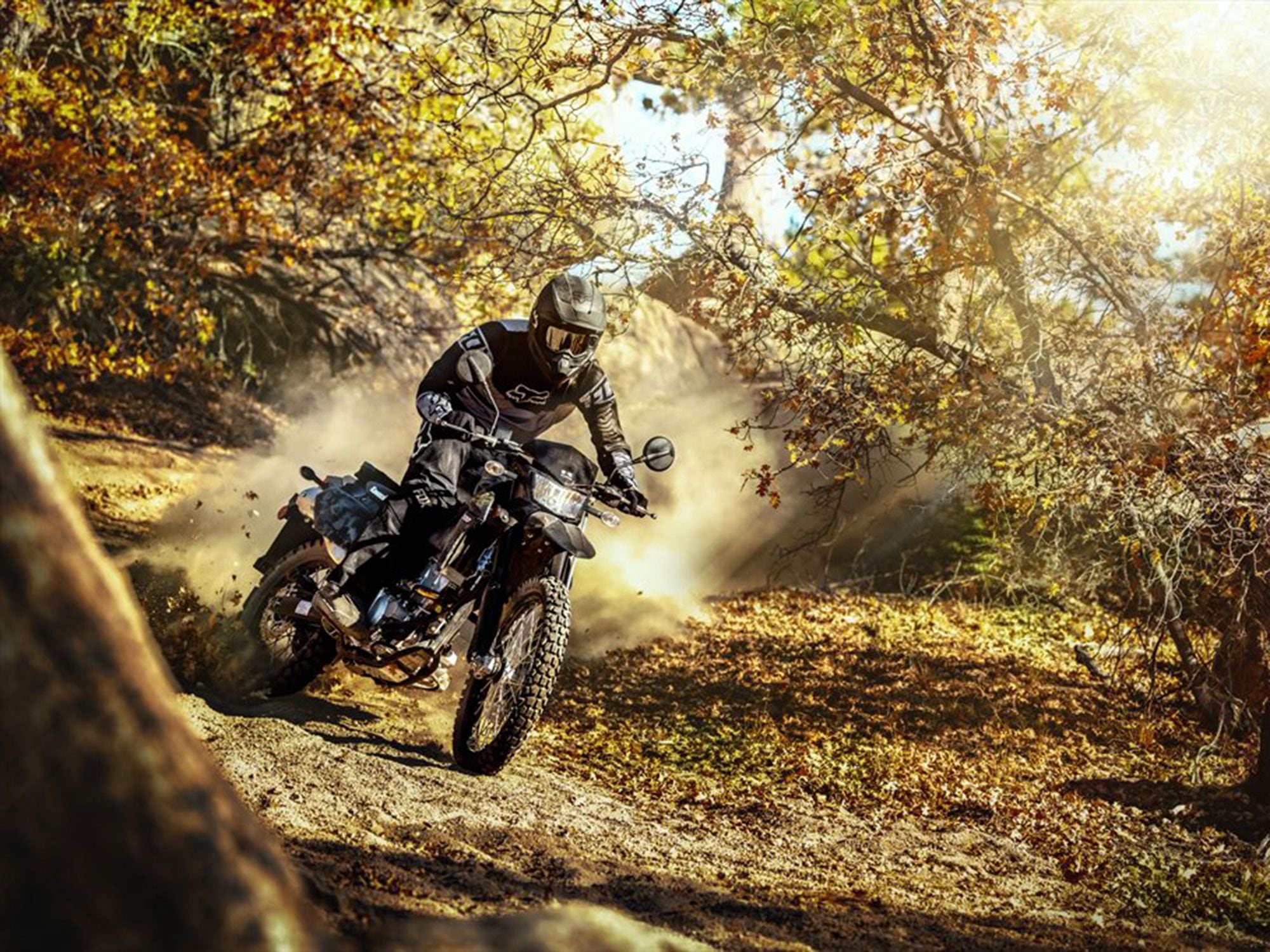 2021 Kawasaki KLX300