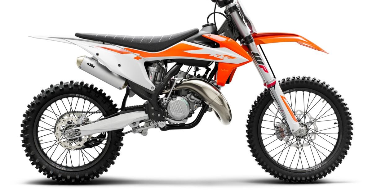 2019 Buyer's Guide - cover
