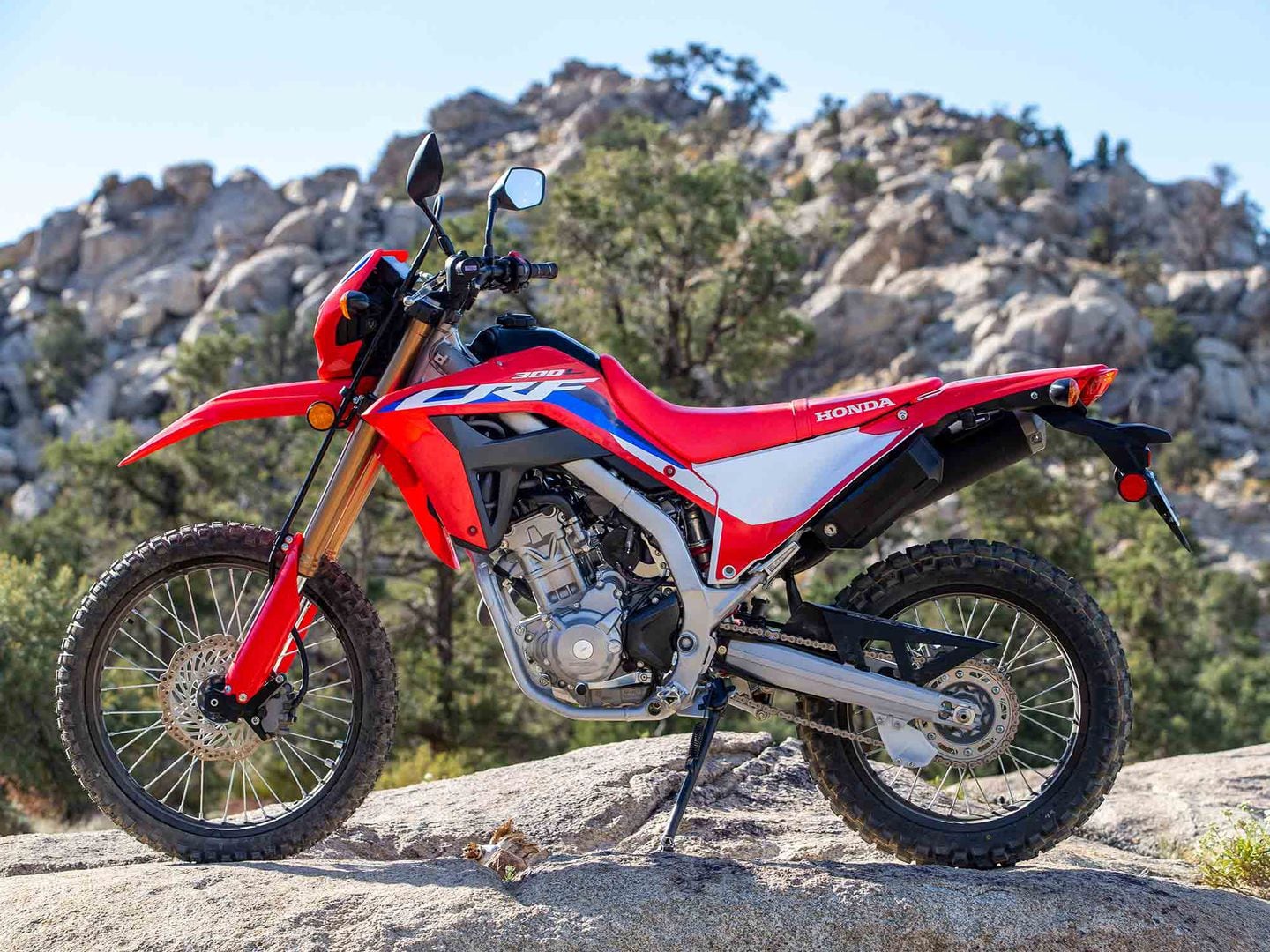 Honda sales crf300l abs