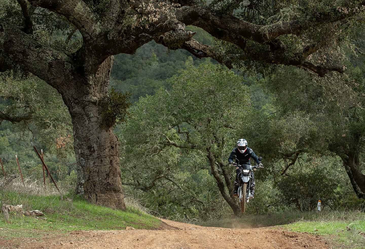 Not even a flat-ground landing was enough to bottom the revised KLX230 S suspension. Granted, I weigh only 120 pounds.