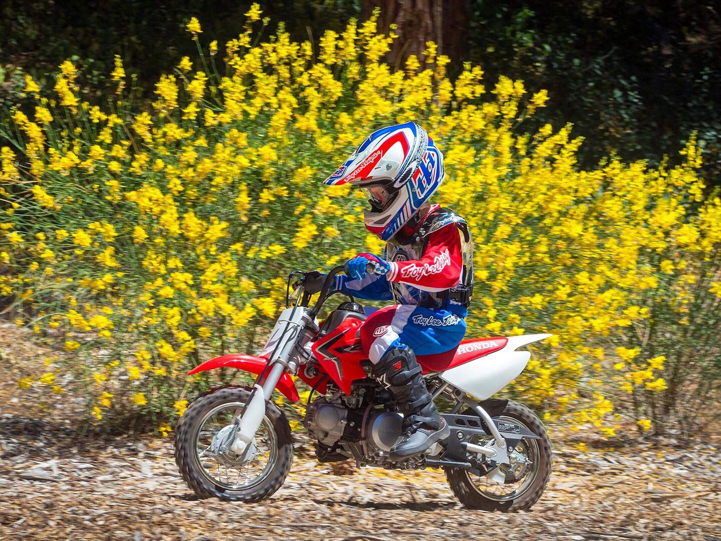 Best motocross bikes 2020 hotsell