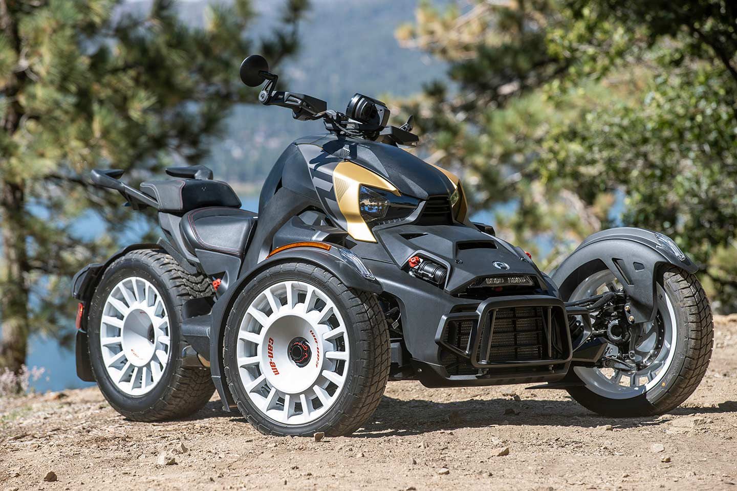 2020 can deals am ryker rally