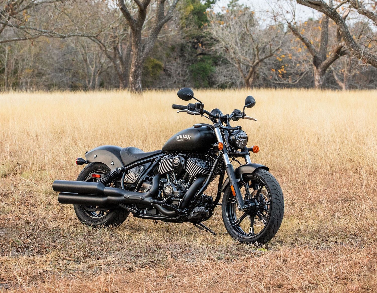 2022 indian chief dark horse