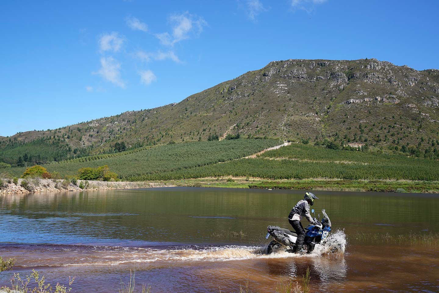 Forging the edge of the Boskloof Dam.