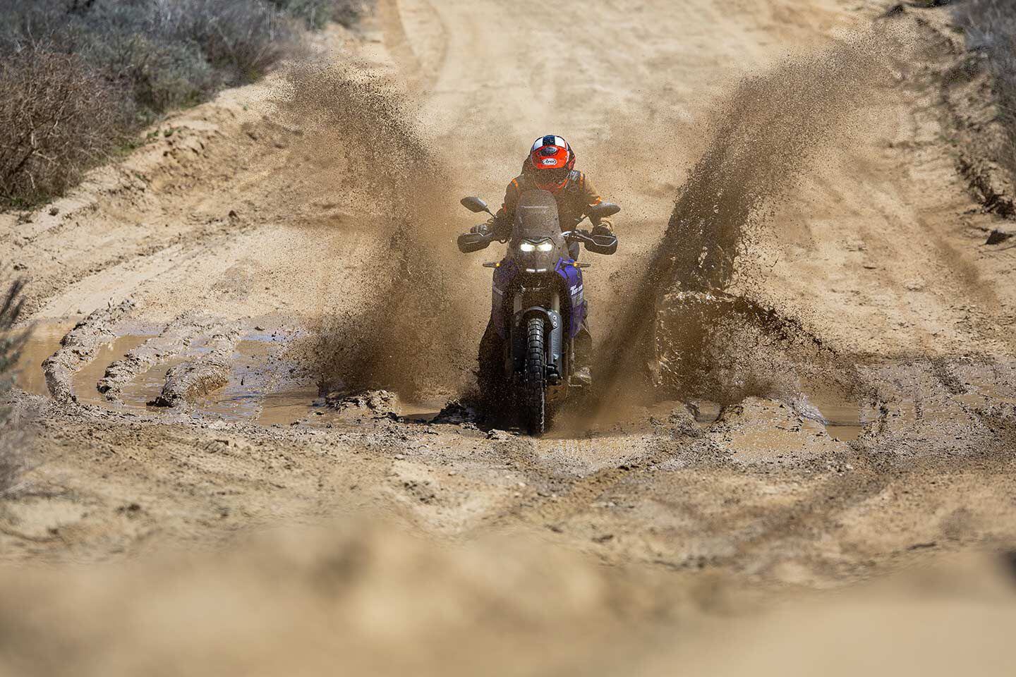 Splish, splash, mud bath.