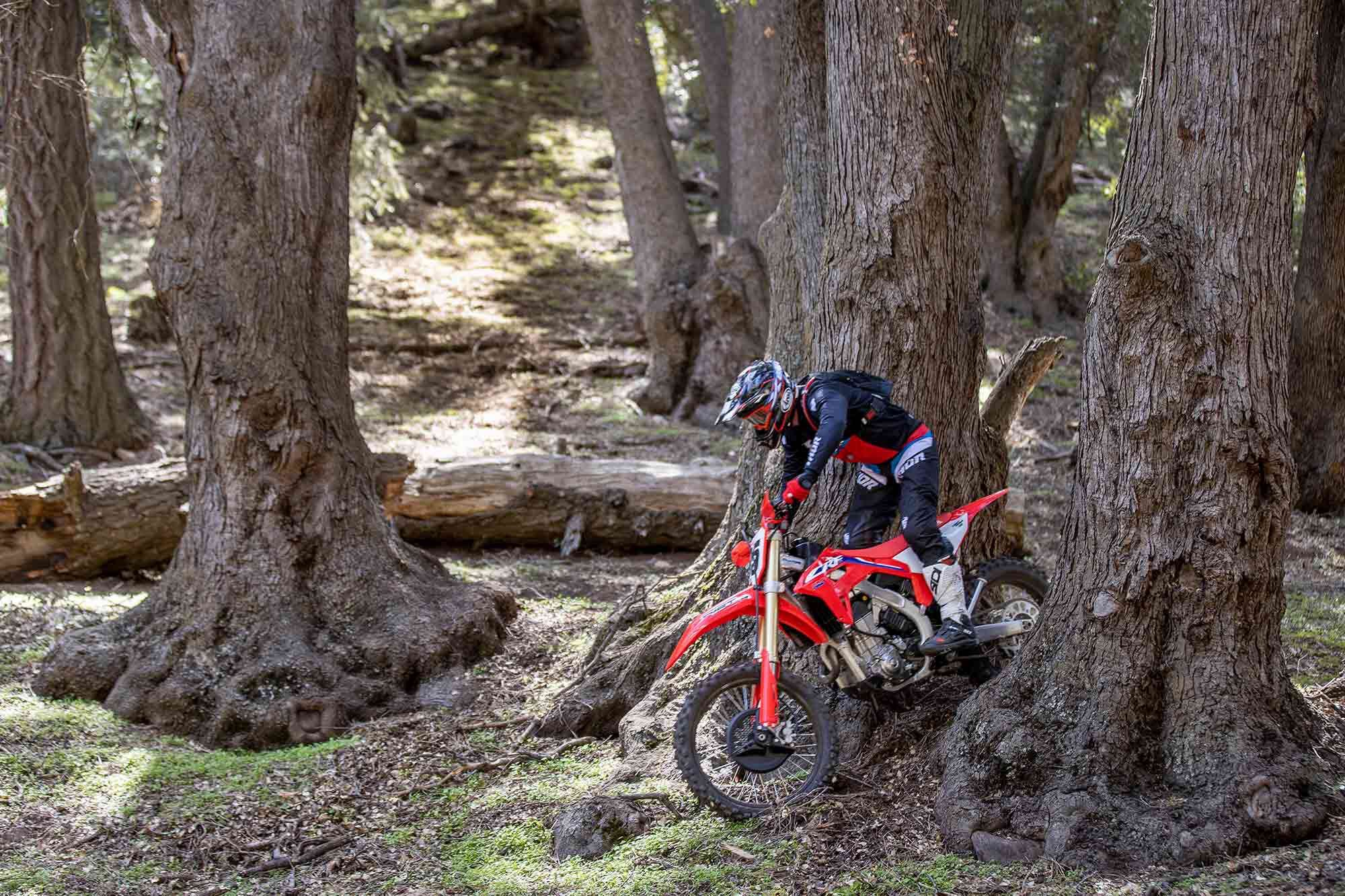 We like the slimmer bodywork as it makes it easier to move around on the bike while riding.