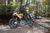 2015 Aprilia Caponord Rally action photo