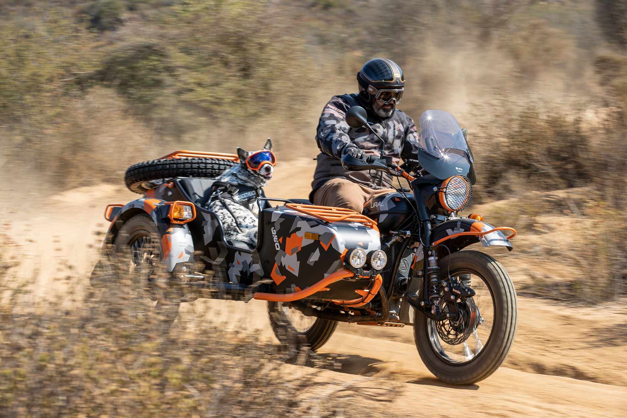 Work or play, the Ural Gear Up Geo is a good time. Gracie prefers play.