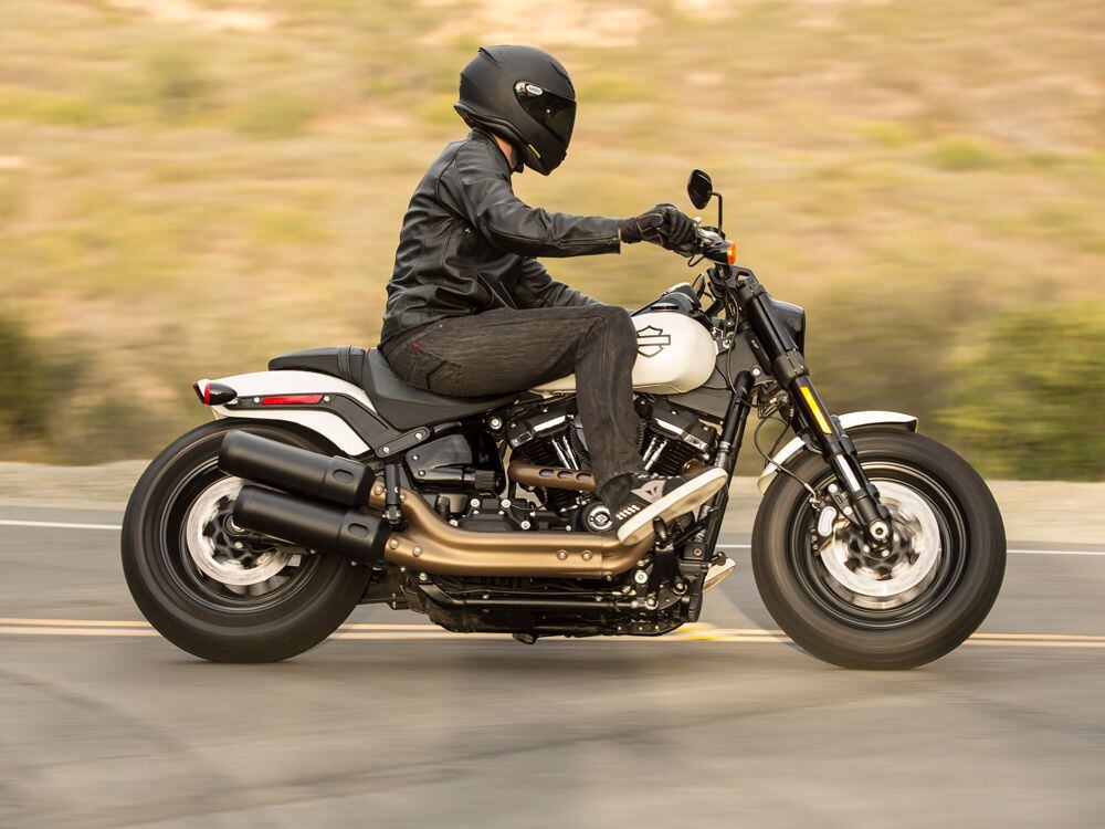 Fat on sale bob touring