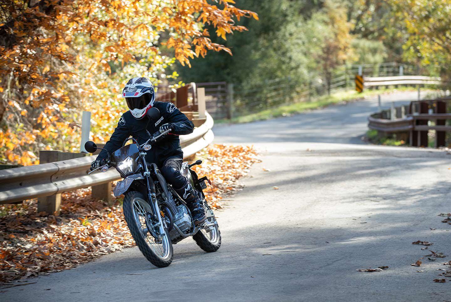 Carving up backroads is one of the many terrains where the 230 S excels.