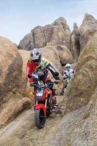 Honda Grom Off Road Adventure Motorcycle Fun Trip Cycle World