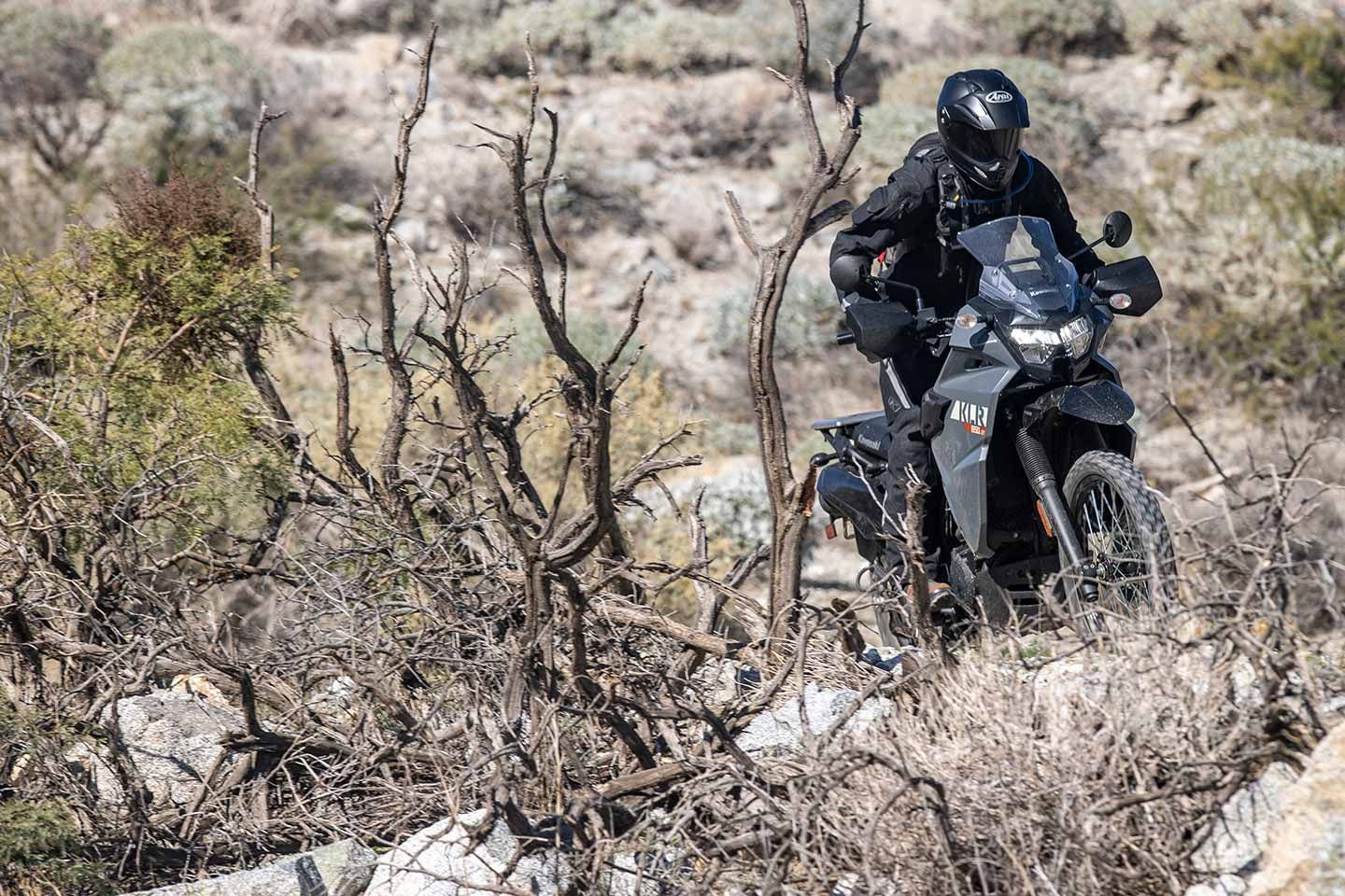 The KLR prefers the road less traveled.