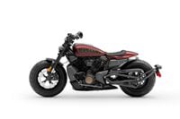New sportster 2021 top