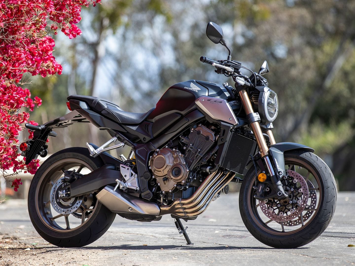 2021 Honda CB650R ABS First Ride Review Cycle World