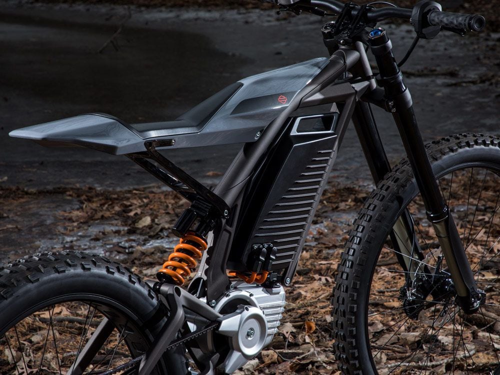 Harley davidson sale mountain bike