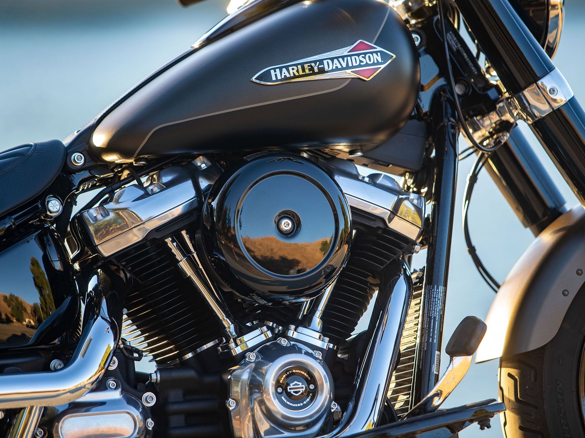 The Harley-Davidson Milwaukee-Eight 107 sits in the 2021 Softail Slim.