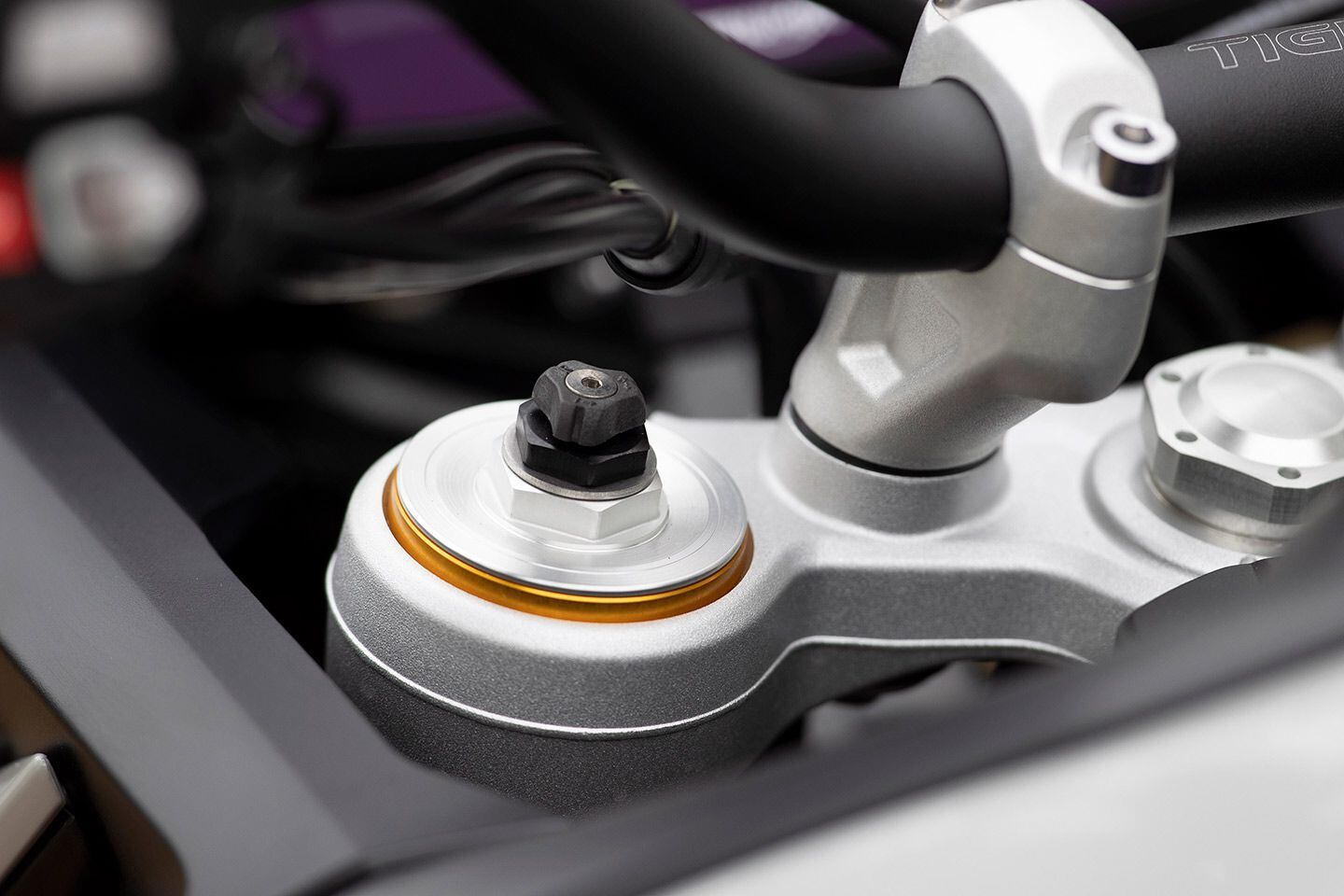 Front suspension on the Tiger 900 Rally Pro is adjustable for preload, compression, and rebound.