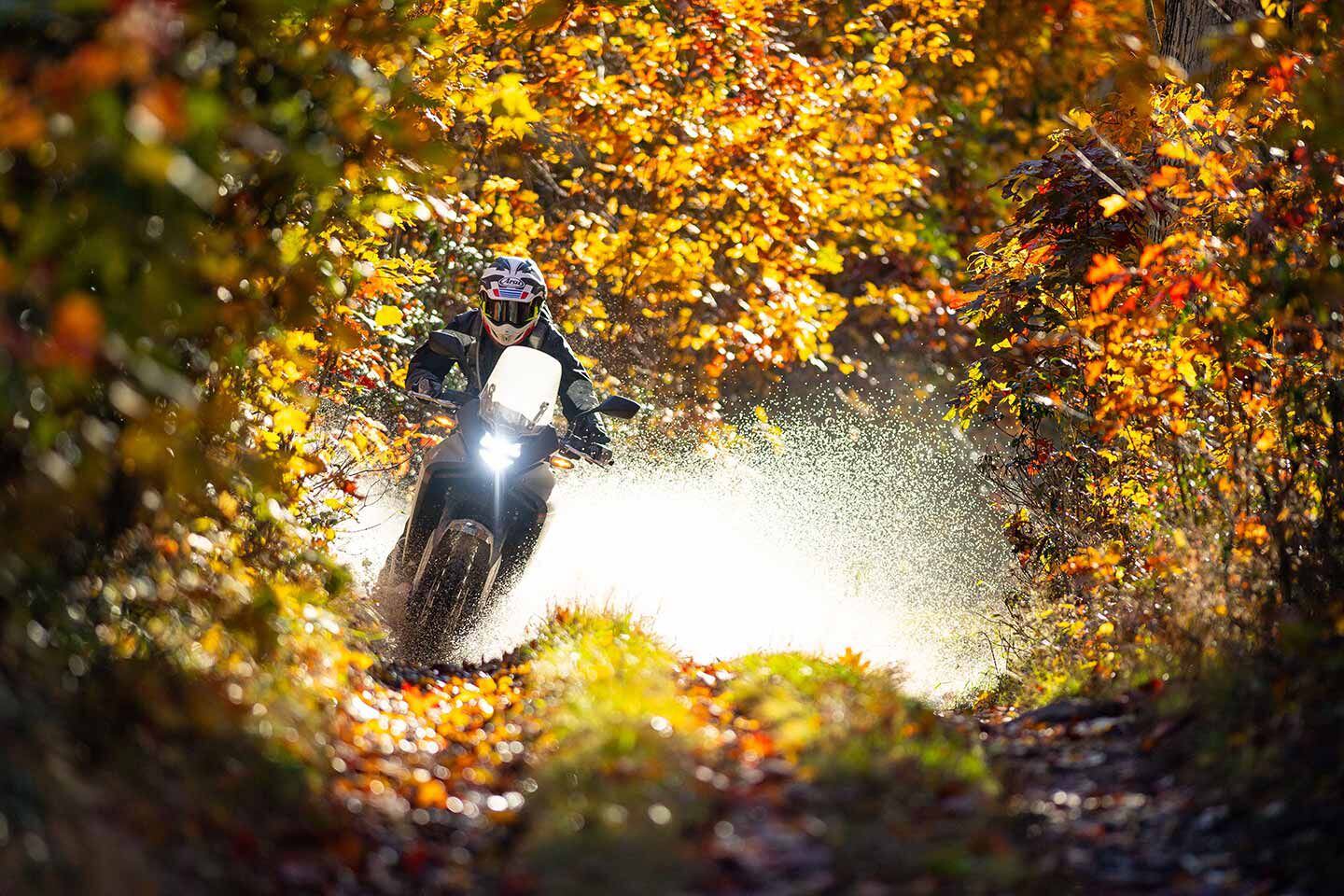 The Transalp’s agile chassis allows it to change lines off-road with minimal input.