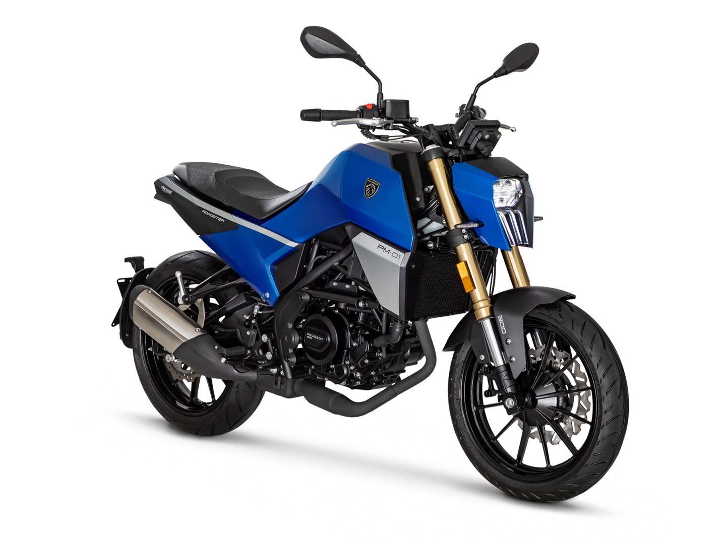 Peugeot’s PM-01 300 is powered by a Chinese-sourced single.