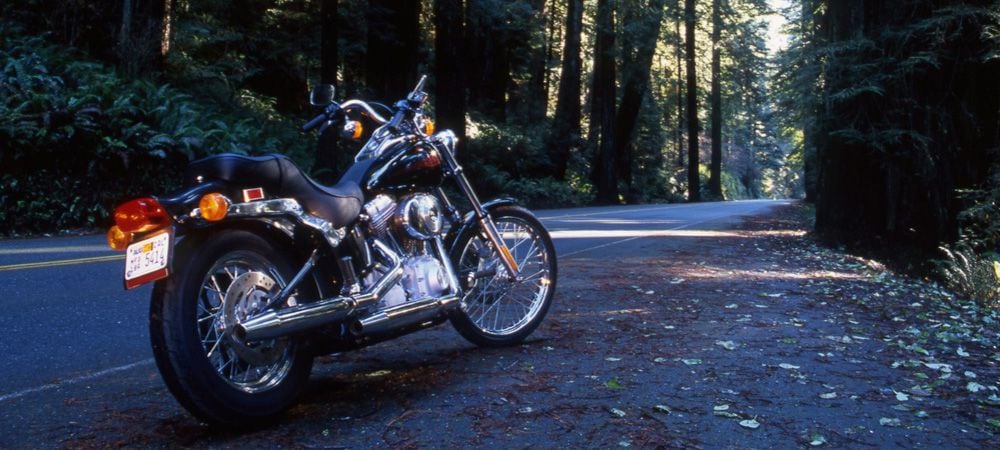 2000 harley softail standard cheap