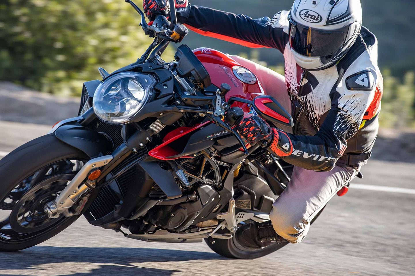 Mv agusta monster on sale