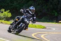 Fz 09 deals performance mods