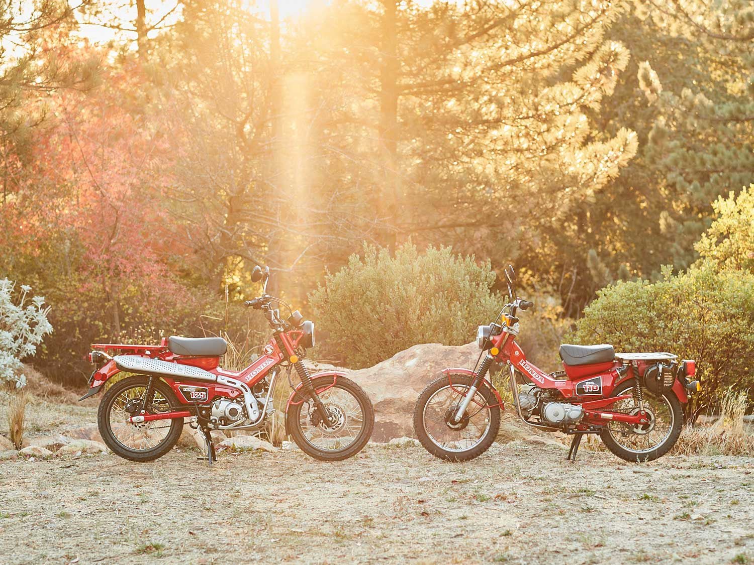 Modern technology meets classic design. Park a Trail 125 (left) beside its predecessor, a 1984 Honda Trail 110 (right), and it’s hard to spot the differences.
