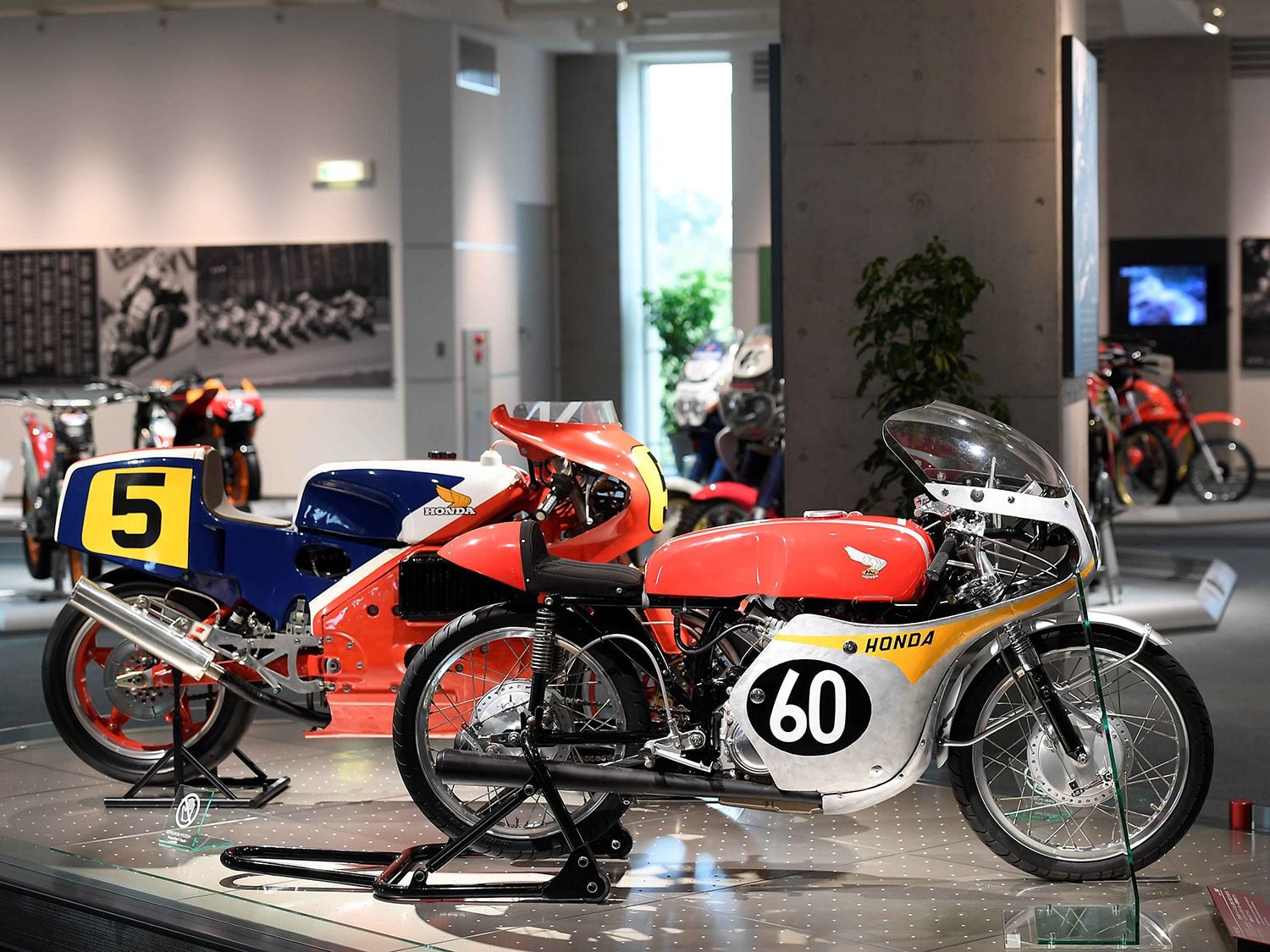 hall's motorsports honda