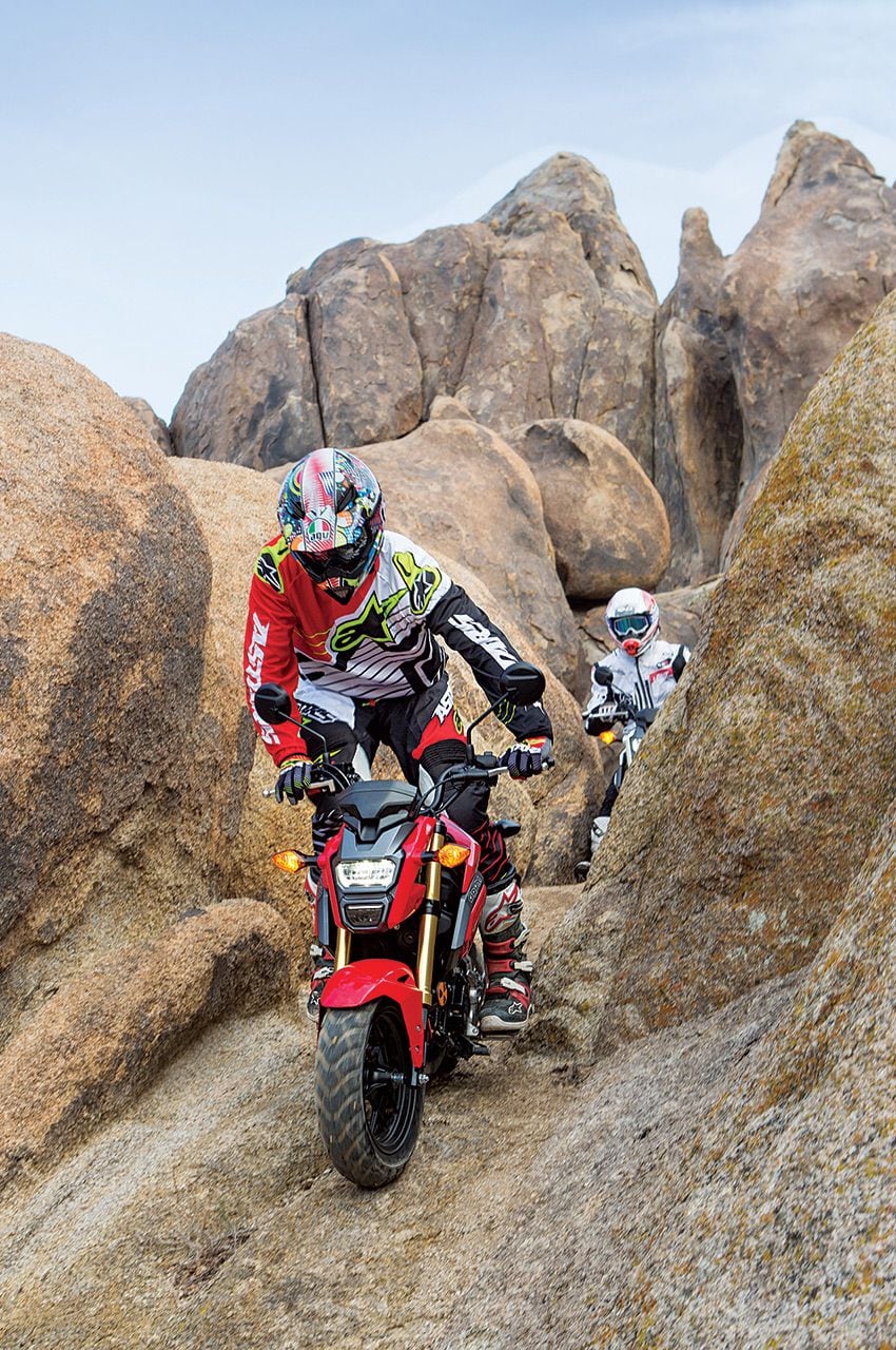 Offroad grom sale