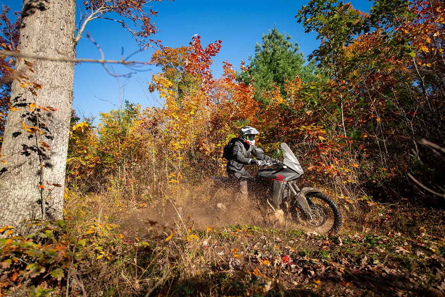 Honda is planning for the Transalp to make a big splash in the US market.