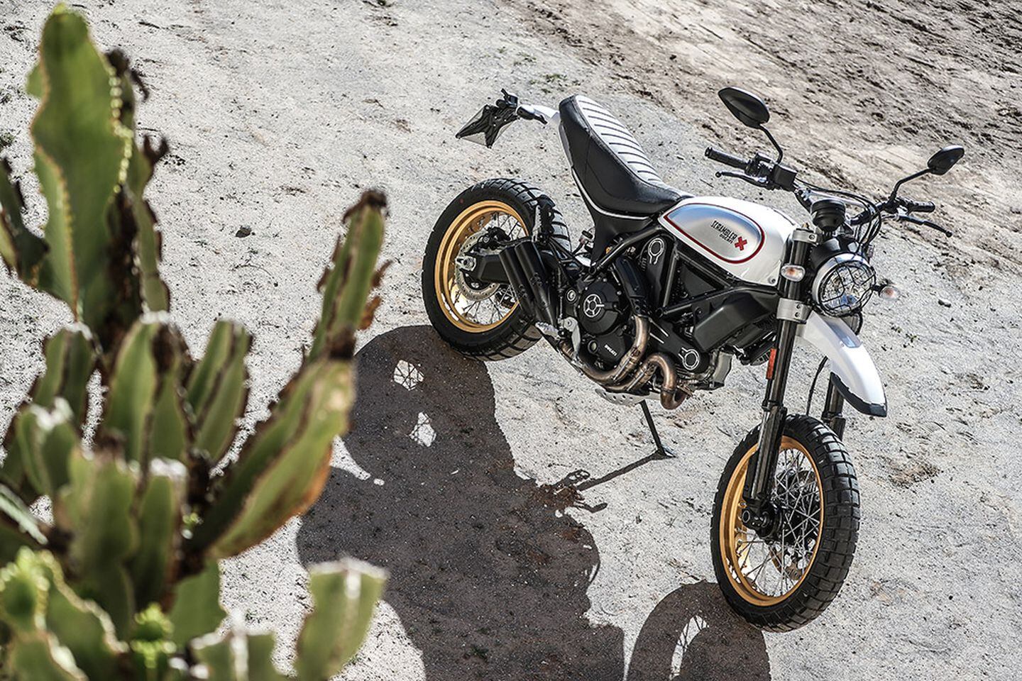 2017 ducati scrambler desert sled new arrivals