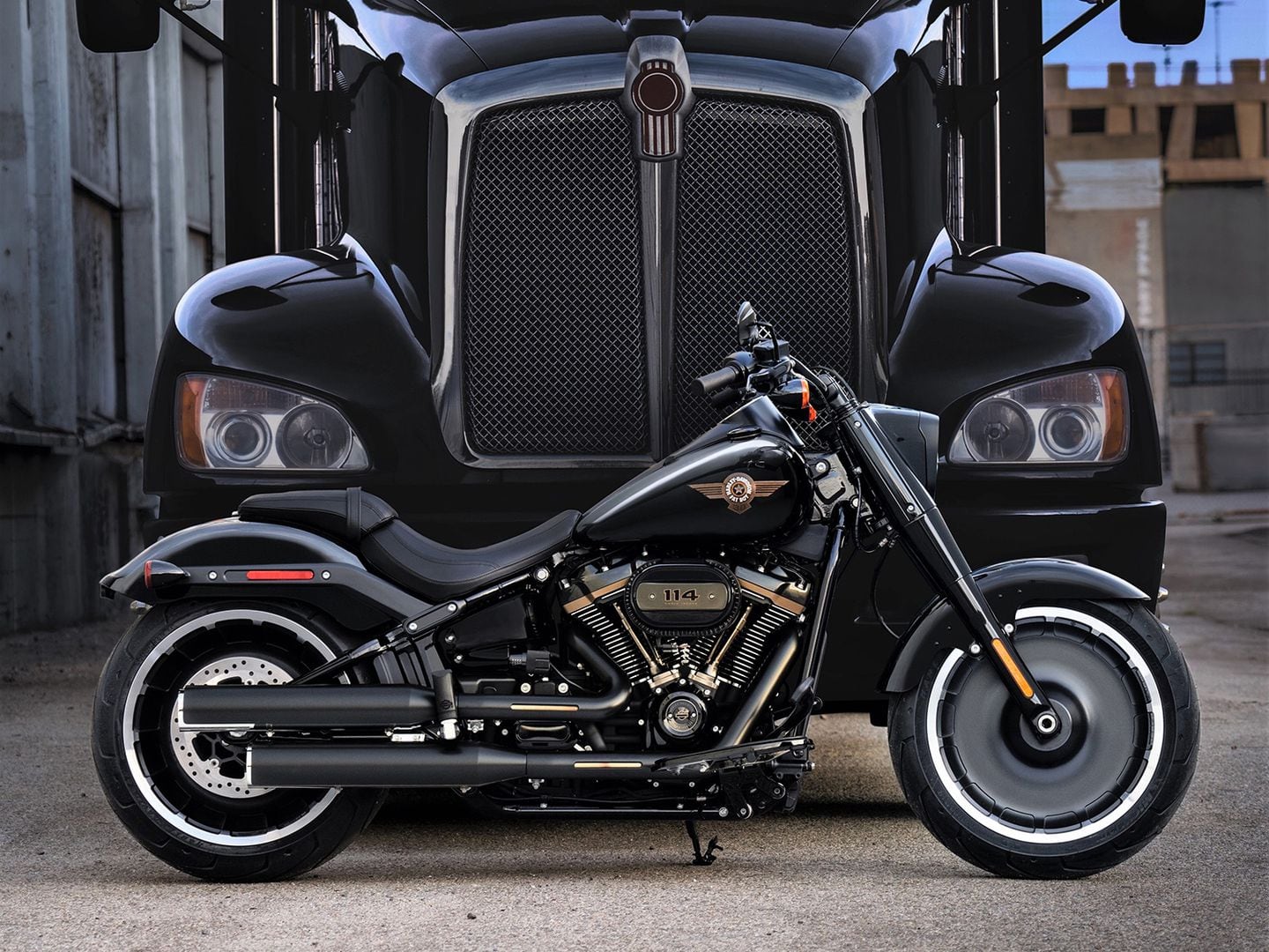 Harley fatboy anniversary edition hotsell