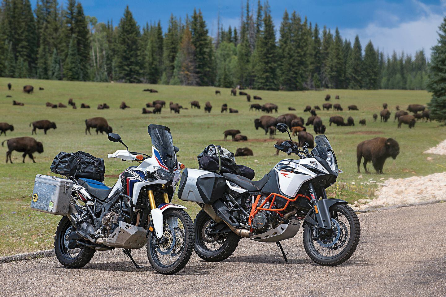 Ktm new arrivals africa twin