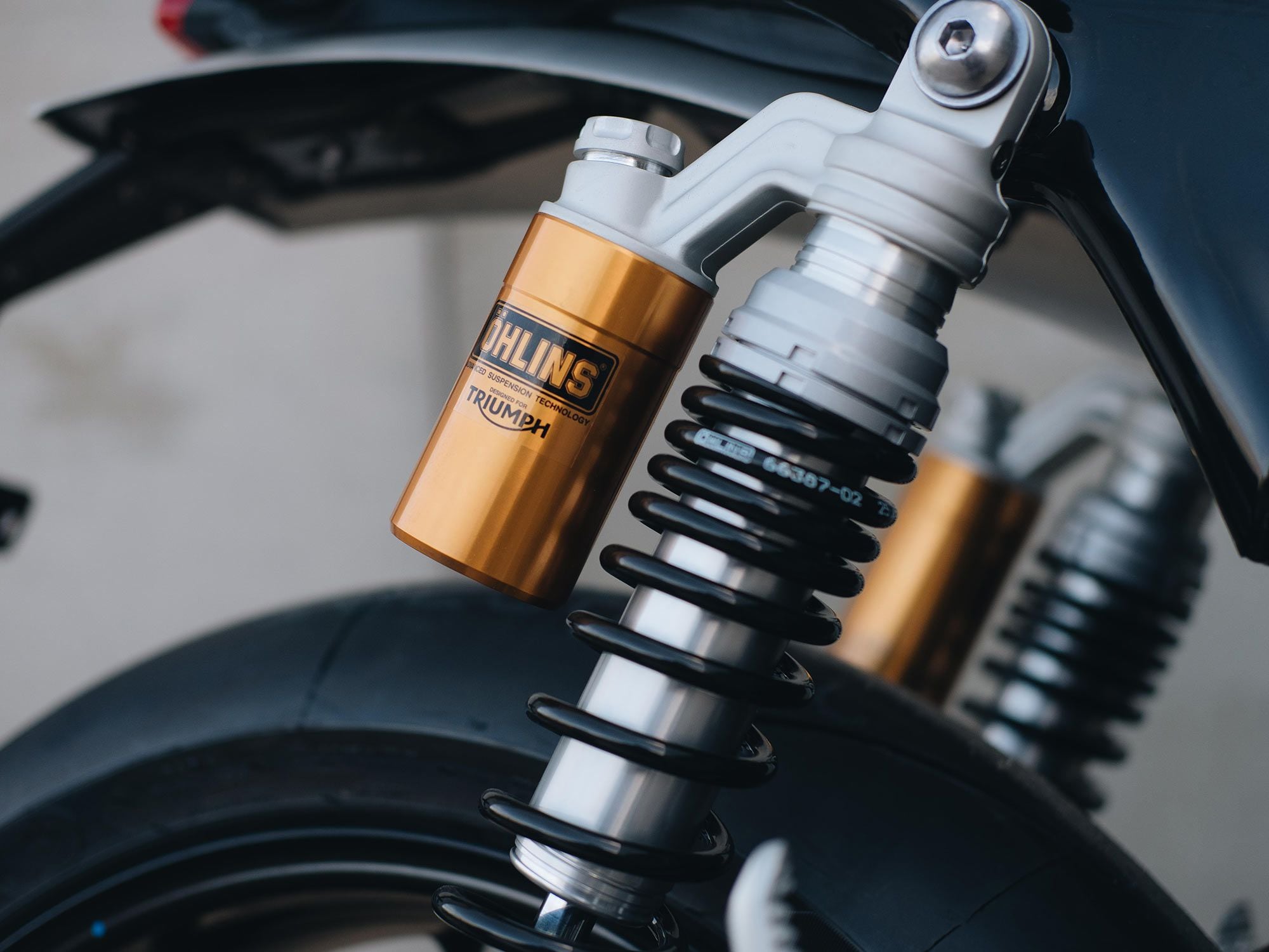 Fully adjustable Öhlins piggyback twin rear suspension adds to the performance appeal of this special-edition Triumph.